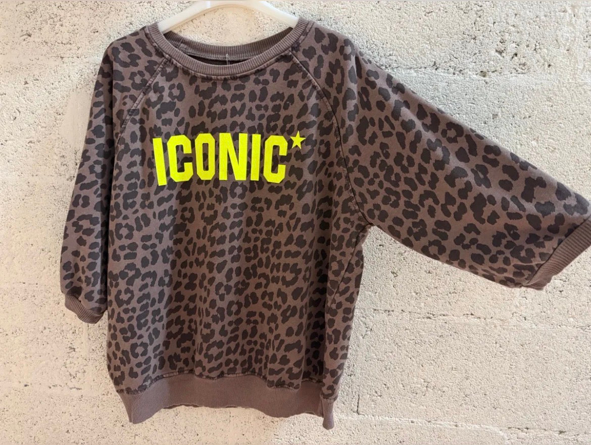 The ICONIC sweater