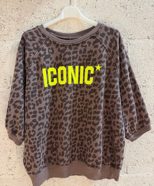 The ICONIC sweater brown